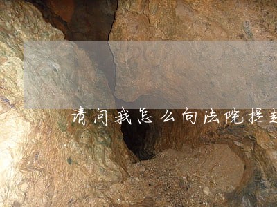 请问我怎么向法院提起诉讼 请问我怎么向法院提起诉讼