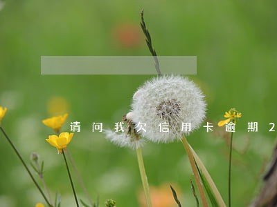 请问我欠信用卡逾期20万 请问我欠信用卡逾期20万