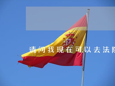 请问我现在可以去法院起诉吗 请问我现在可以去法院起诉吗