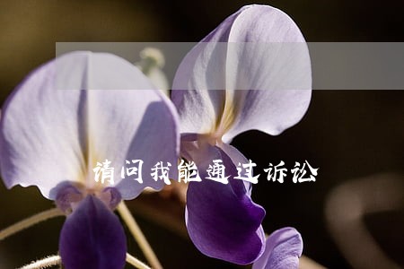 请问我能通过诉讼