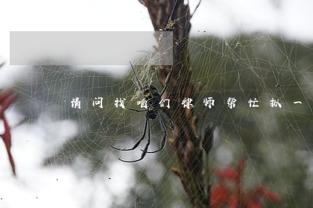 请问找咱们律师帮忙拟一份合同 请问找咱们律师帮忙拟一份合同