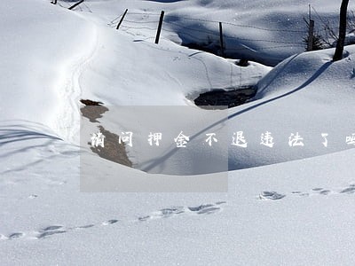 请问押金不退违法了吗 请问押金不退违法了吗