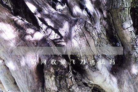 请问收藏飞刀违法吗 请问收藏飞刀违法吗