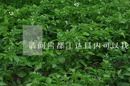 请问昌都江达县内可以找律师吗 请问昌都江达县内可以找律师吗