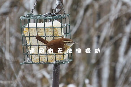 请问有无法律援助 请问有无法律援助
