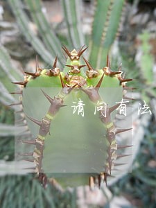 请问有法规保障我们的权益吗 请问有法规保障我们的权益吗
