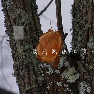 请问民法上有相似的原则 请问民法上有相似的原则