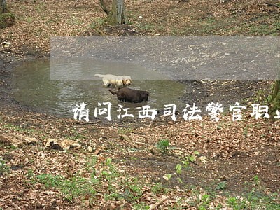 请问江西司法警官职业学校