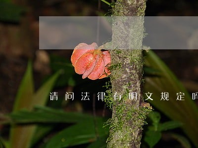 请问法律有明文规定吗 请问法律有明文规定吗