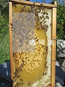 请问法院以物抵债 请问法院以物抵债