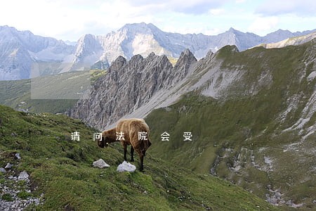 请问法院会受 请问法院会受
