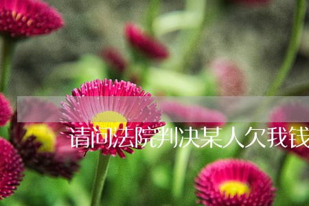 请问法院判决某人欠我钱 请问法院判决某人欠我钱