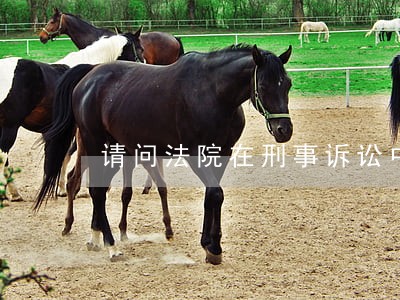 请问法院在刑事诉讼中 请问法院在刑事诉讼中