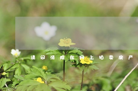 请问法院在网上拍卖房产成功后 请问法院在网上拍卖房产成功后
