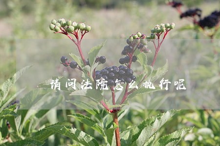 请问法院怎么执行呢 请问法院怎么执行呢