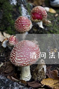 请问法院拍卖房产的资金到账后