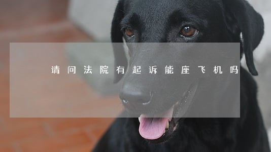 请问法院有起诉能座飞机吗