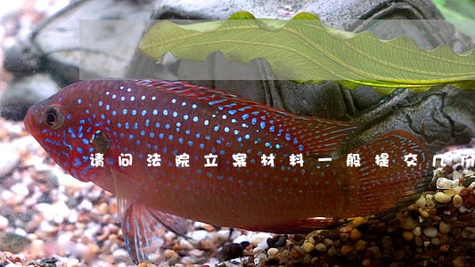 请问法院立案材料一般提交几份