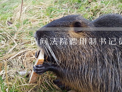 请问法院聘用制书记员稳定吗 请问法院聘用制书记员稳定吗