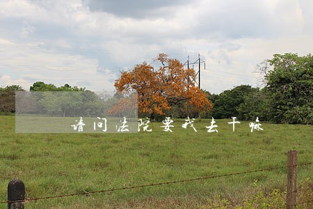 请问法院要我去干嘛