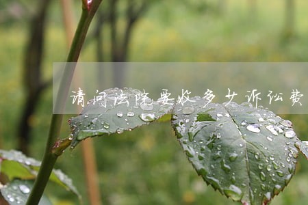 请问法院要收多少诉讼费 请问法院要收多少诉讼费