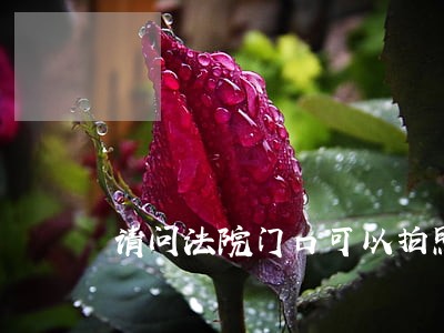 请问法院门口可以拍照吗 请问法院门口可以拍照吗