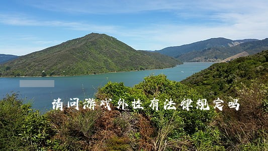 请问游戏外挂有法律规定吗 请问游戏外挂有法律规定吗