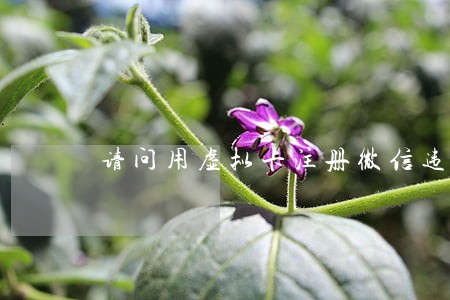 请问用虚拟卡注册微信违法吗 请问用虚拟卡注册微信违法吗