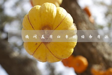 请问盖有公章的借条有法律效率吗 请问盖有公章的借条有法律效率吗