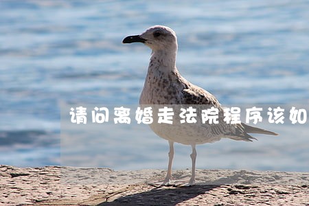 请问离婚走法院程序该如何走 请问离婚走法院程序该如何走