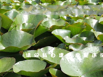 请问私自建机房是违法的吗 请问私自建机房是违法的吗