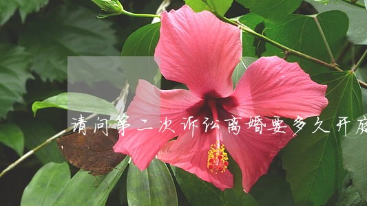 请问第二次诉讼离婚要多久开庭