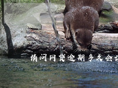请问网贷逾期多久会读取通讯录 请问网贷逾期多久会读取通讯录