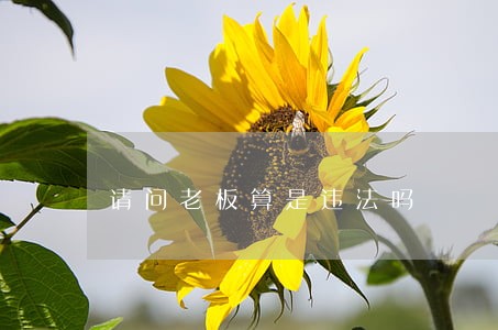 请问老板算是违法吗 请问老板算是违法吗