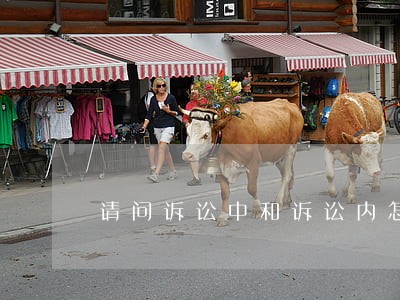 请问诉讼中和诉讼内怎么区分 请问诉讼中和诉讼内怎么区分