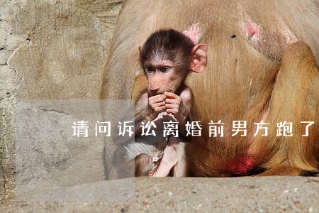请问诉讼离婚前男方跑了咋办 请问诉讼离婚前男方跑了咋办