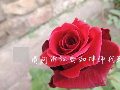 请问诉讼费和律师代理费如何收取 请问诉讼费和律师代理费如何收取