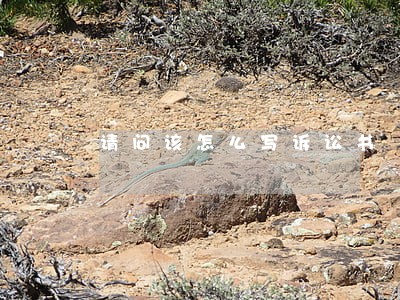 请问该怎么写诉讼书 请问该怎么写诉讼书