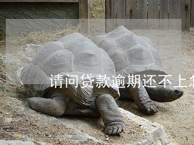 请问贷款逾期还不上怎么办 请问贷款逾期还不上怎么办