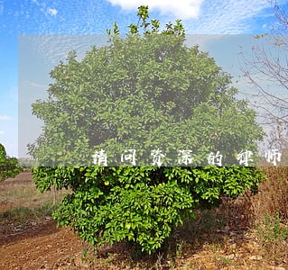 请问资深的律师 请问资深的律师
