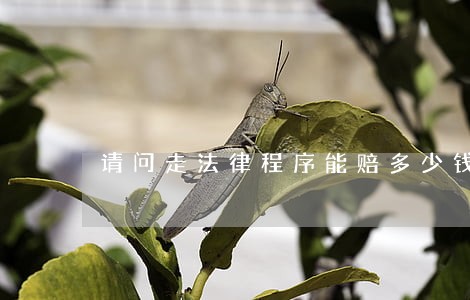 请问走法律程序能赔多少钱 请问走法律程序能赔多少钱