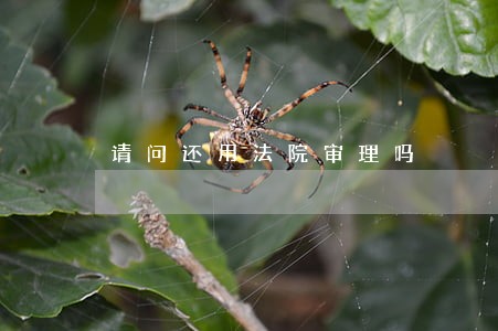 请问还用法院审理吗 请问还用法院审理吗
