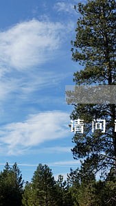 请问这句法律术语怎么翻译 请问这句法律术语怎么翻译