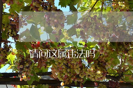 请问这属违法吗 请问这属违法吗