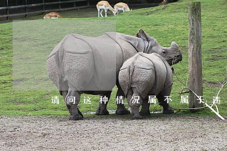 请问这种情况属不属于违法 请问这种情况属不属于违法