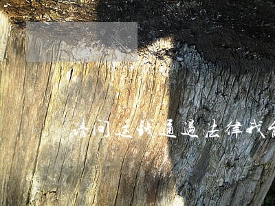 请问这钱通过法律我能要回来吗 请问这钱通过法律我能要回来吗
