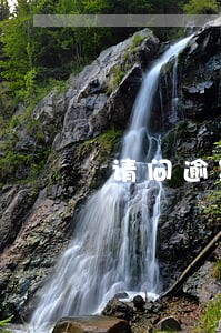 请问逾期多久银行卡会被冻结