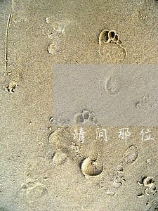 请问那位律师在线 请问那位律师在线