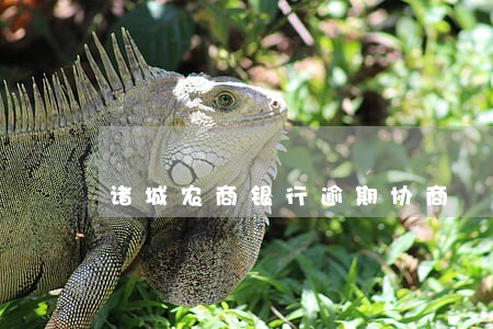诸城农商银行逾期协商 诸城农商银行逾期协商