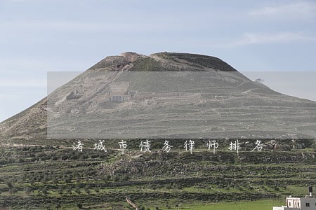 诸城市债务律师排名 诸城市债务律师排名